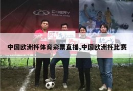 中国欧洲杯体育彩票直播,中国欧洲杯比赛